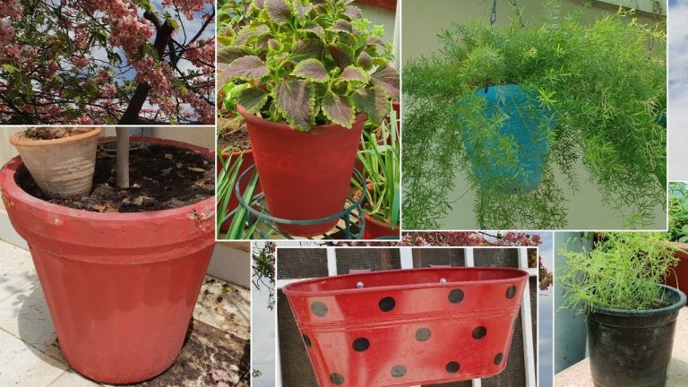 Different Types of Pots for Plants