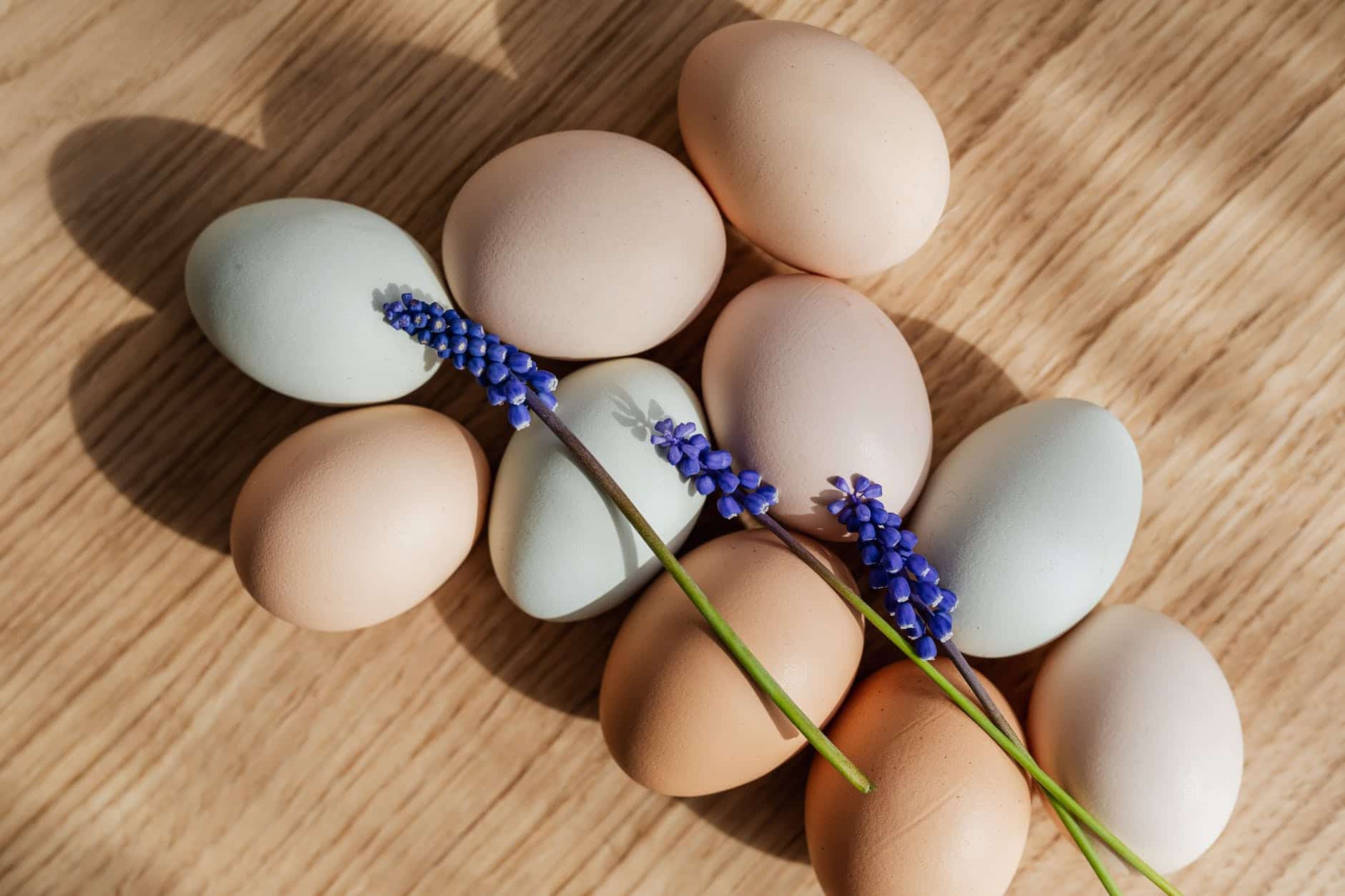 eggs and flowers