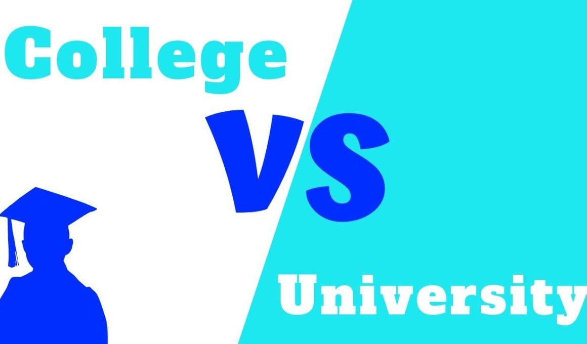 Difference Between College and University