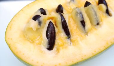 Fruits That Are Native to North America