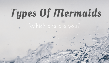 Different Types Of Mermaids