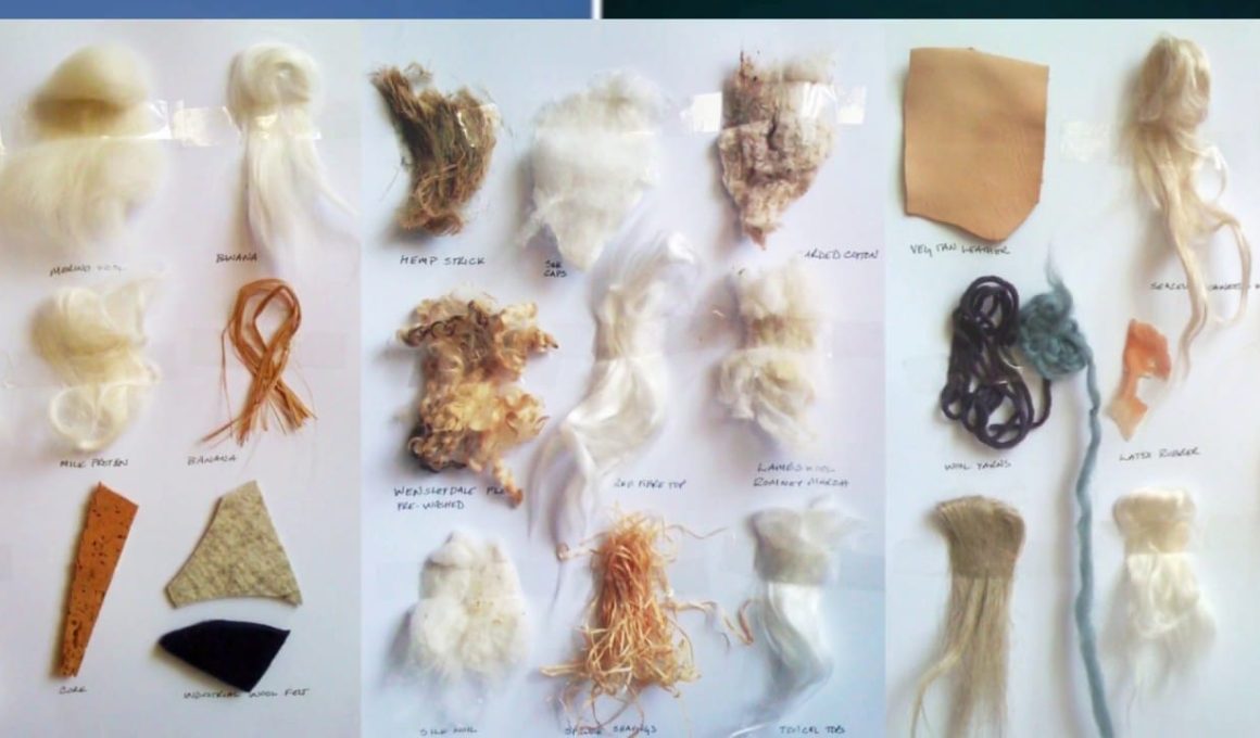 Different Types of Fibers