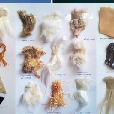 Different Types of Fibers