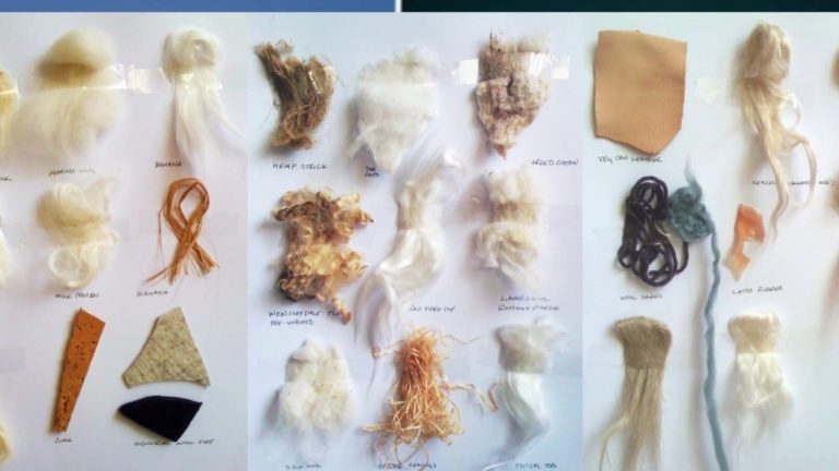 Different Types of Fibers