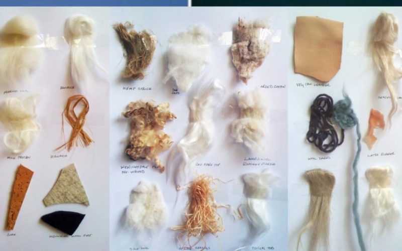 Different Types of Fibers