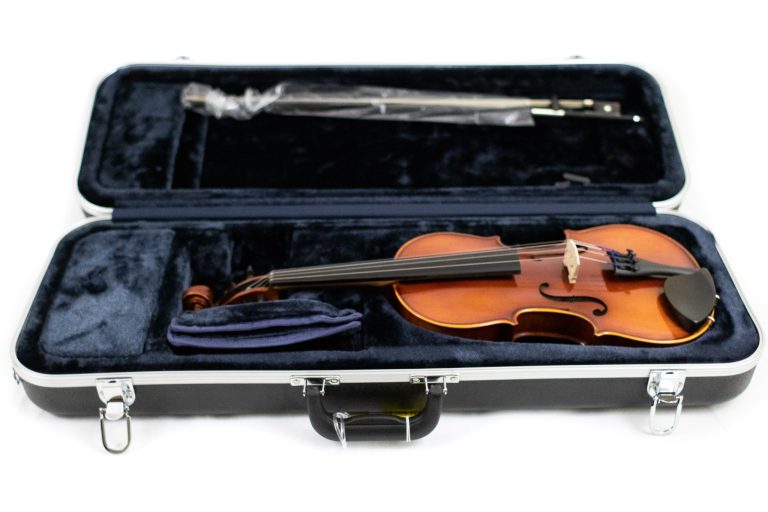 Different Types of Violins