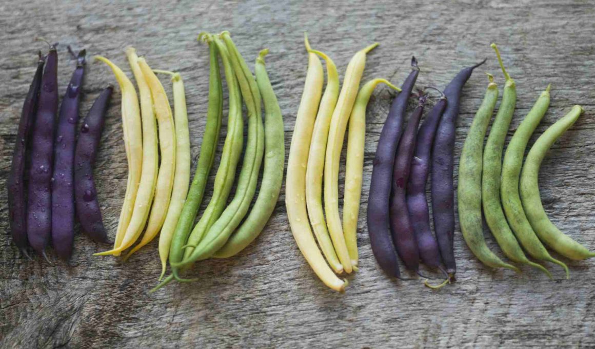 Different Types of Green Beans