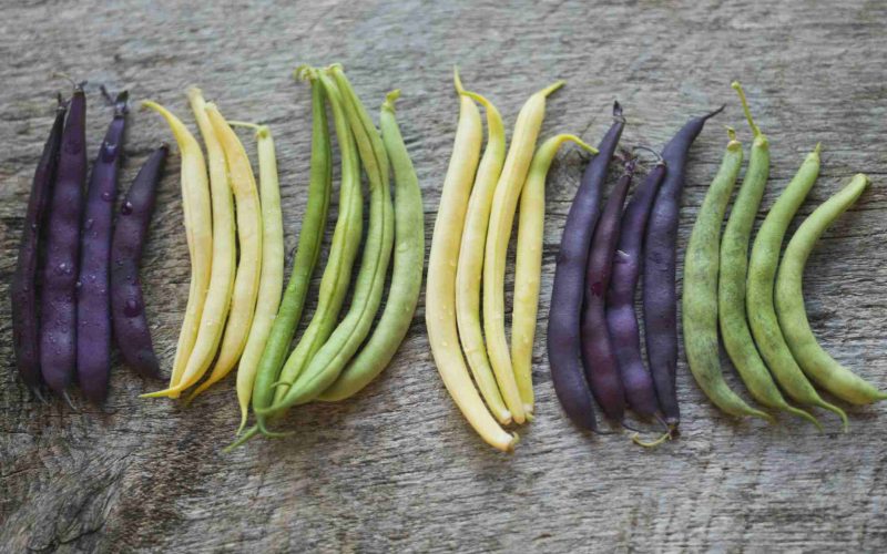 Different Types of Green Beans