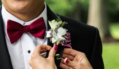 Different Types of Bow Ties
