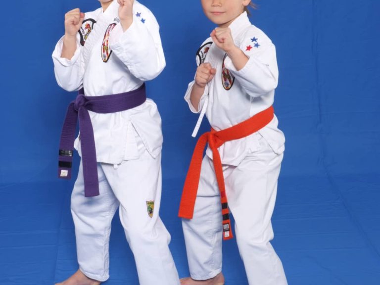 Different Types of Karate