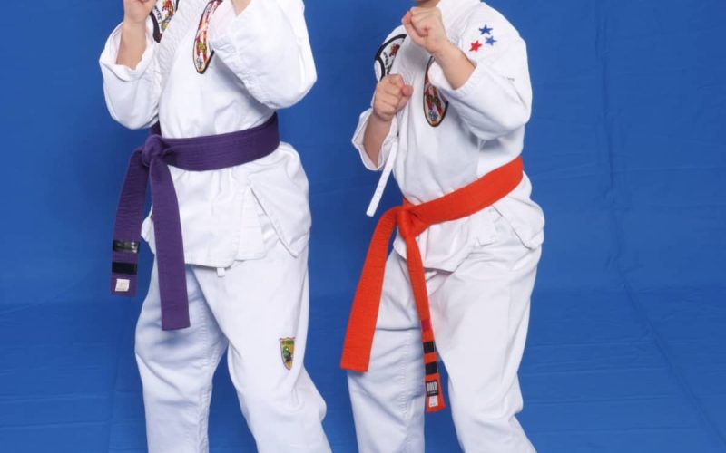 Different Types of Karate
