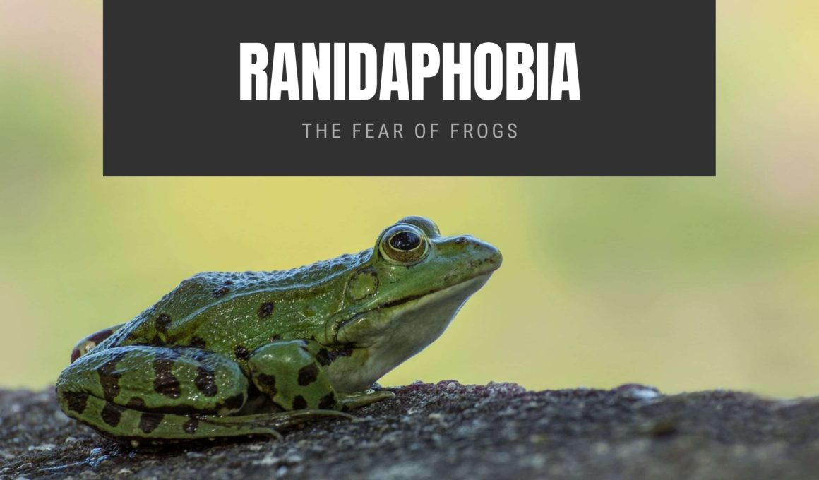 Ranidaphobia: The Fear of Frogs