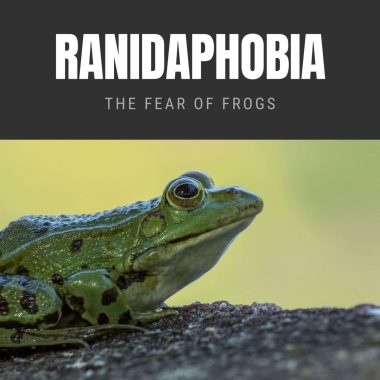 Ranidaphobia: The Fear of Frogs