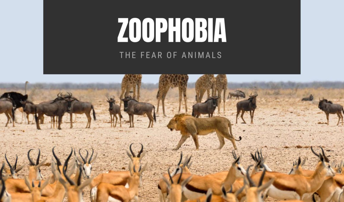 Zoophobia: The Fear of Animals