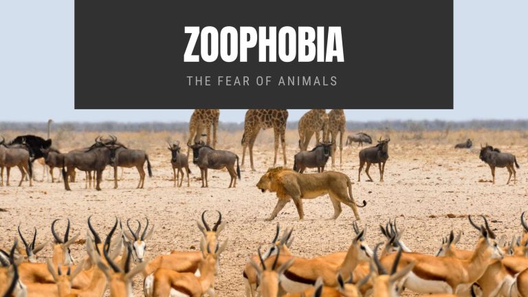 Zoophobia: The Fear of Animals