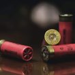 Different Types of Shotgun Shells