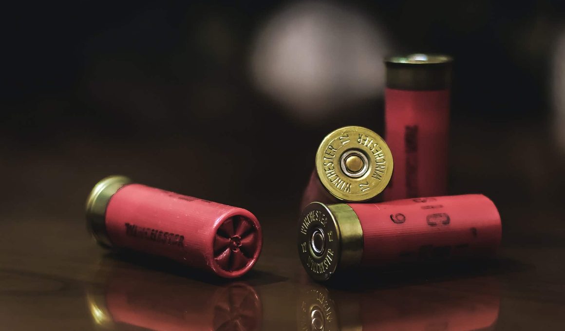 Different Types of Shotgun Shells