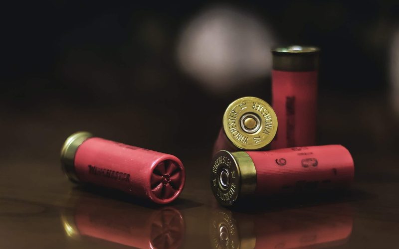 Different Types of Shotgun Shells