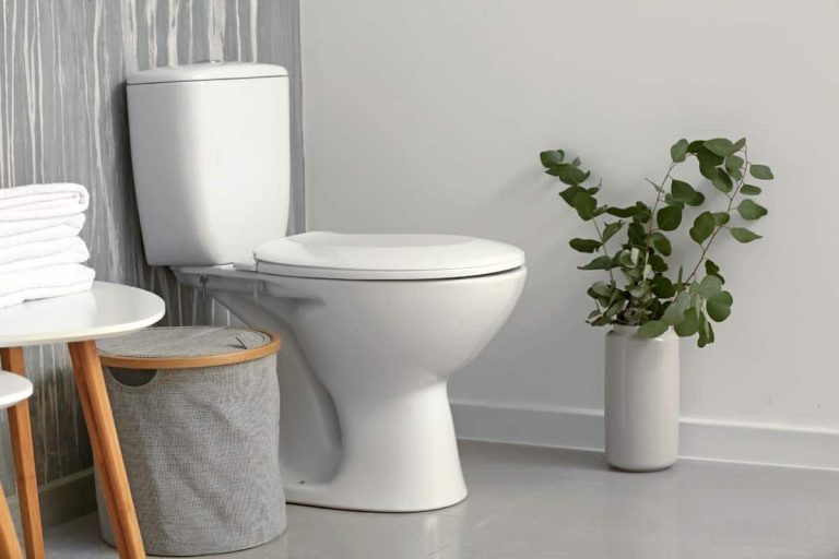 Types Of Toilets