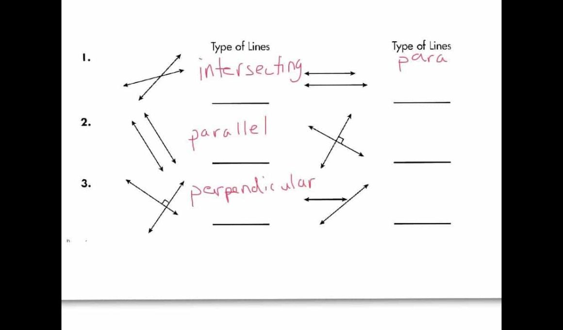 Types of Lines