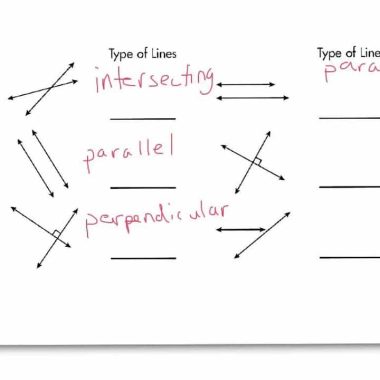 Types of Lines