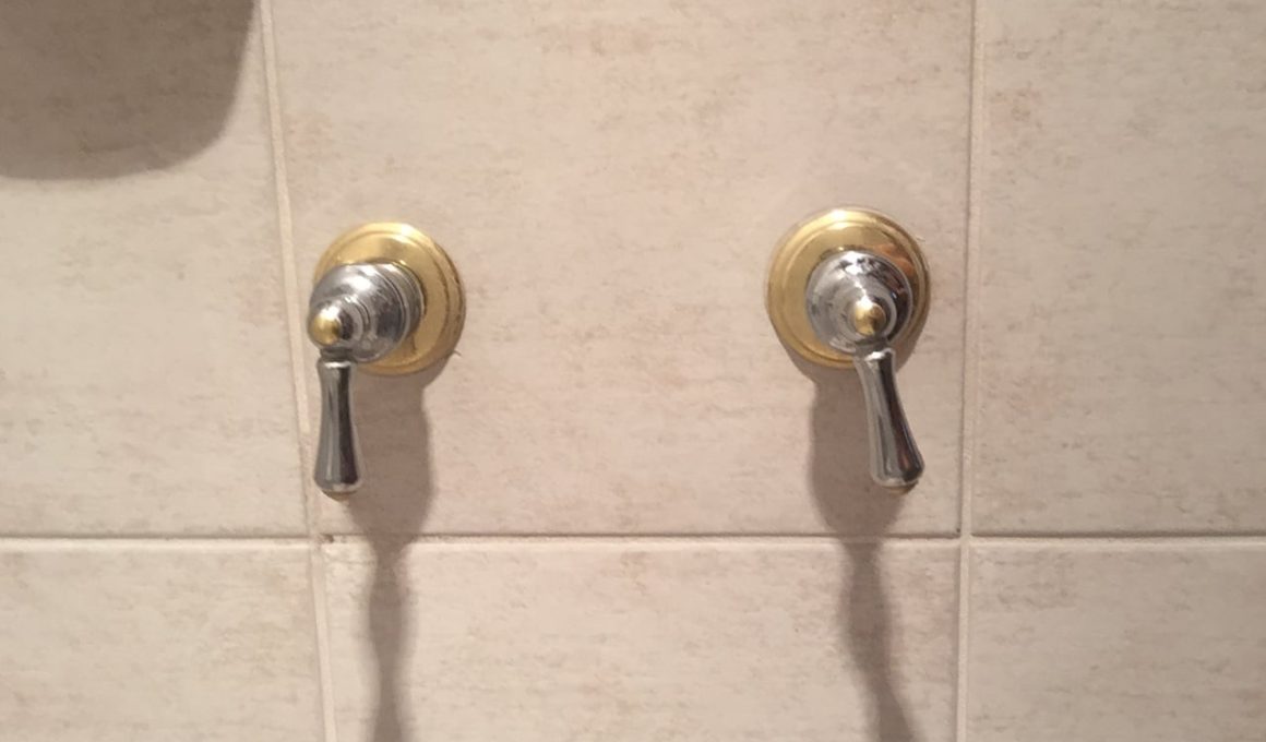 Types of Shower Valves