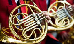 types of horns