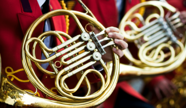 types of horns