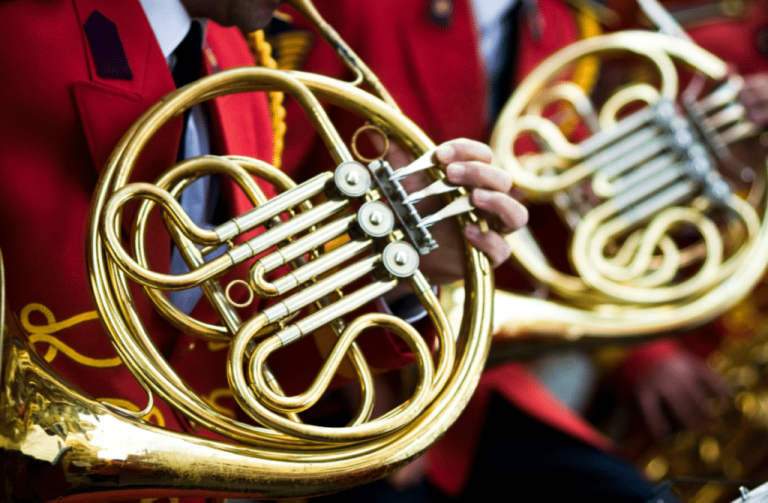 types of horns