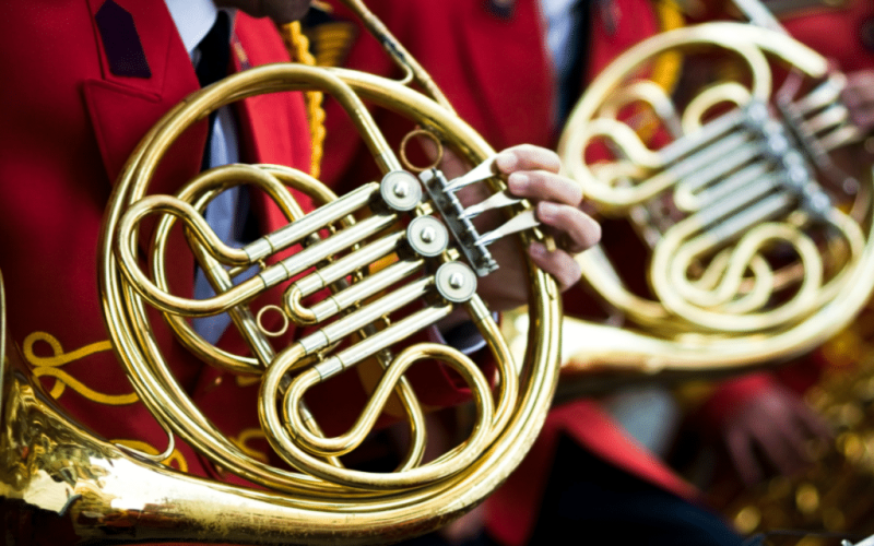 types of horns