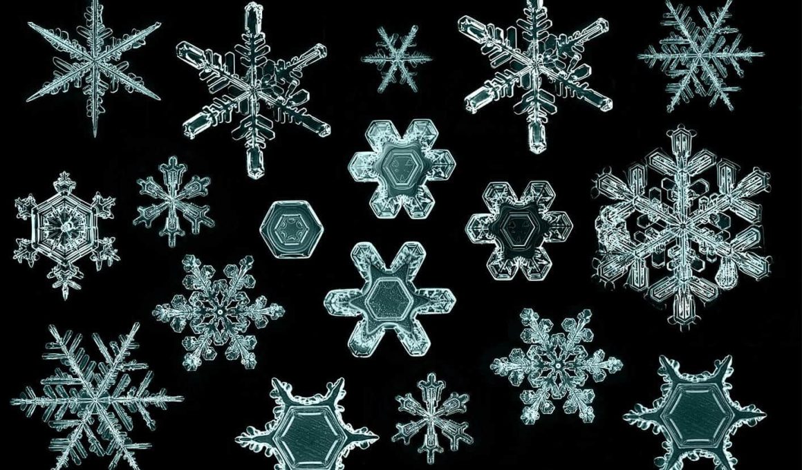 Different Types Of Snow