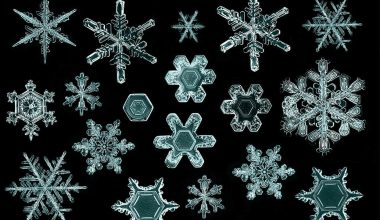 Different Types Of Snow