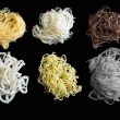 Different Types of Asian Noodles