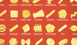 Different Types of Noodles