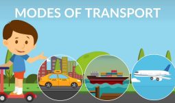 Different Types of Transportation