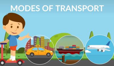 Different Types of Transportation