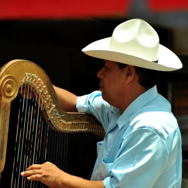 Different types of harps