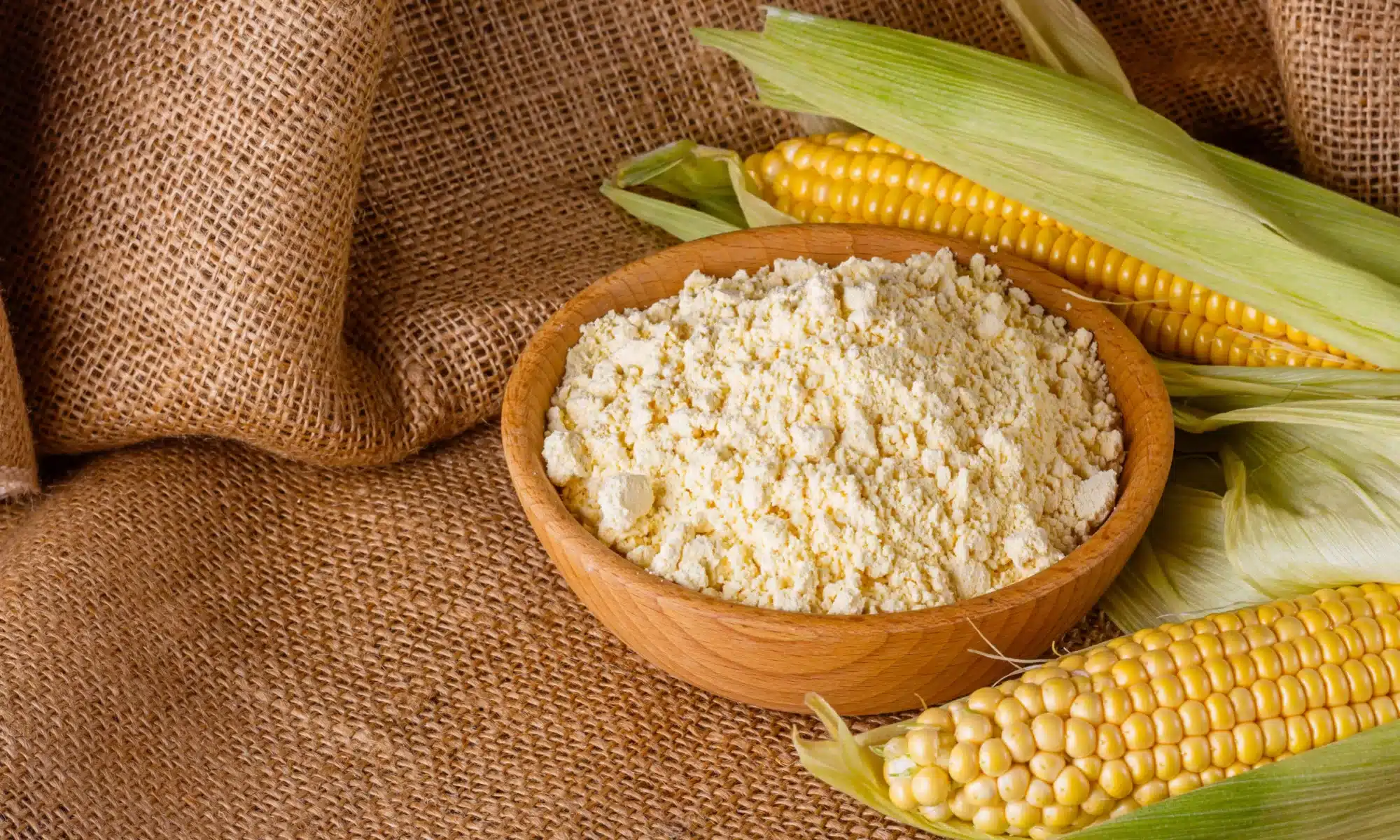 Flour Corn (zea Mays Var. Amylacea)