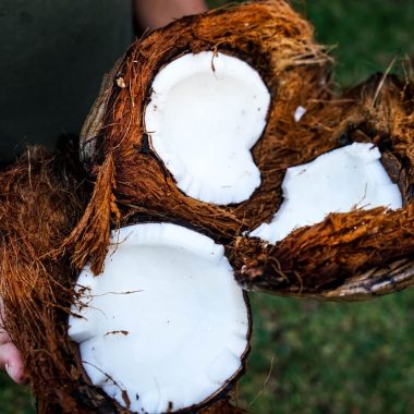 Different Types Of Coconuts