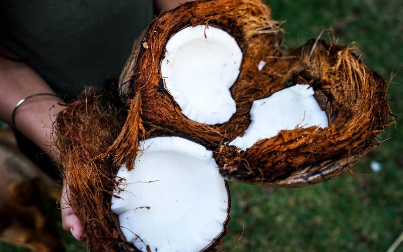 Different Types Of Coconuts