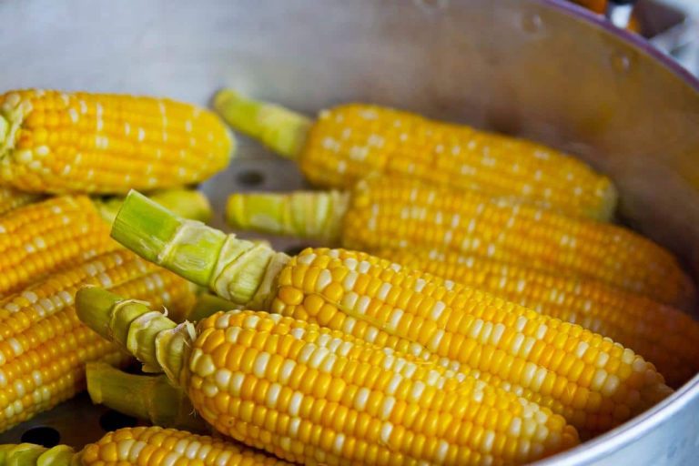 Different Types Of Corn