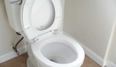 Different Types of Toilet Flappers