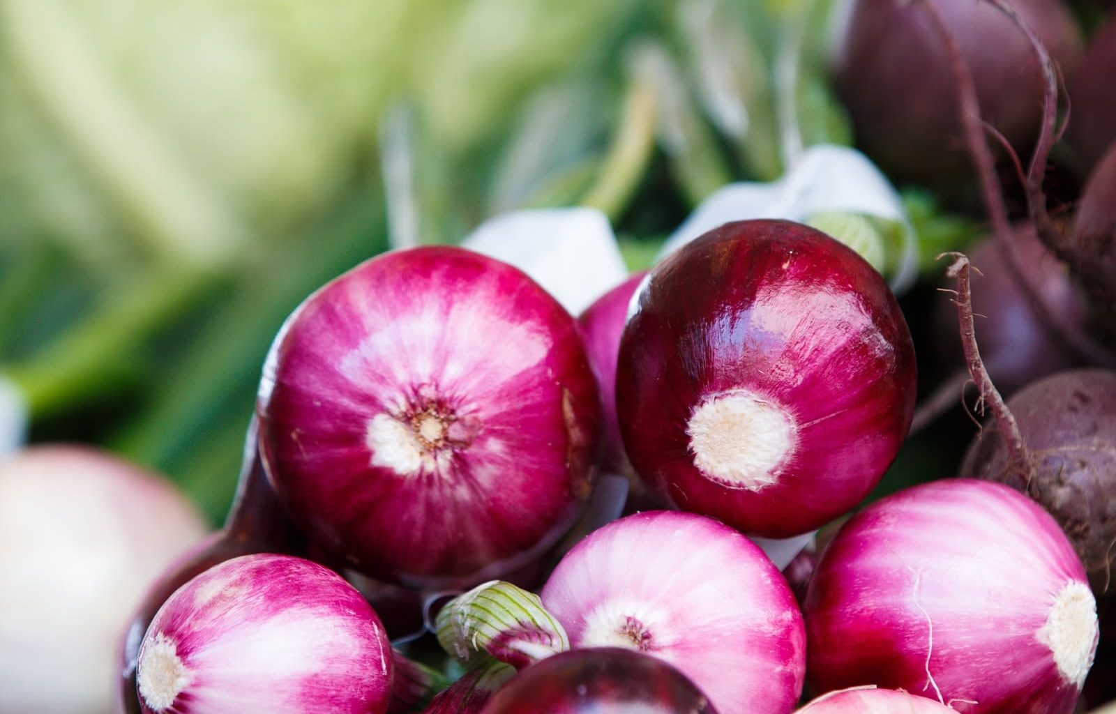 How to Plant Onions