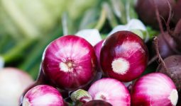 How to Plant Onions