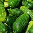 Types Of Cucumber