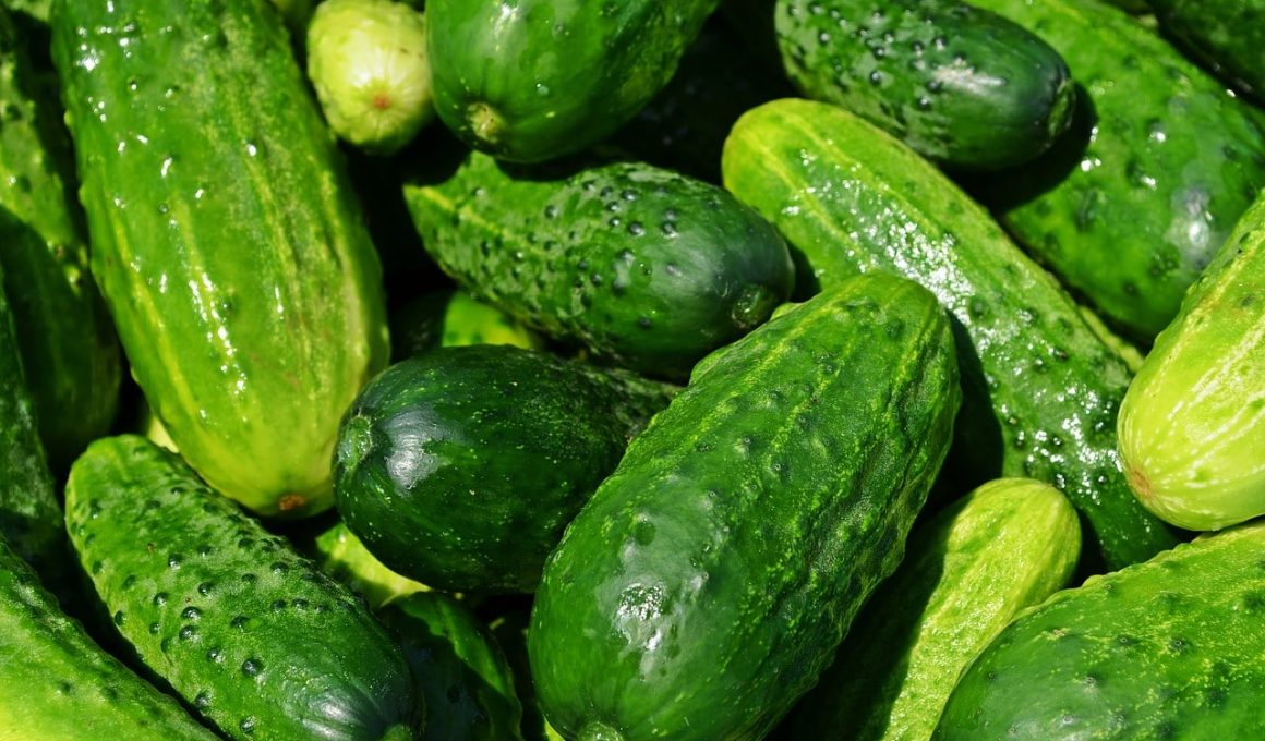 Types Of Cucumber