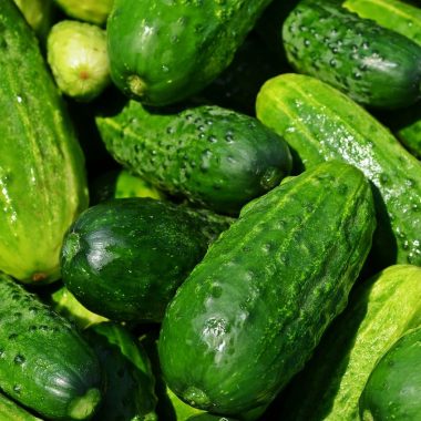 Types Of Cucumber