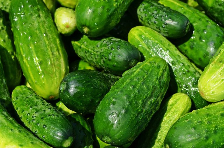 Types Of Cucumber