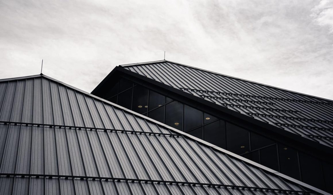 Types Of Metal Roofing