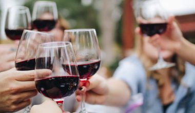 Types Of Wine Glasses